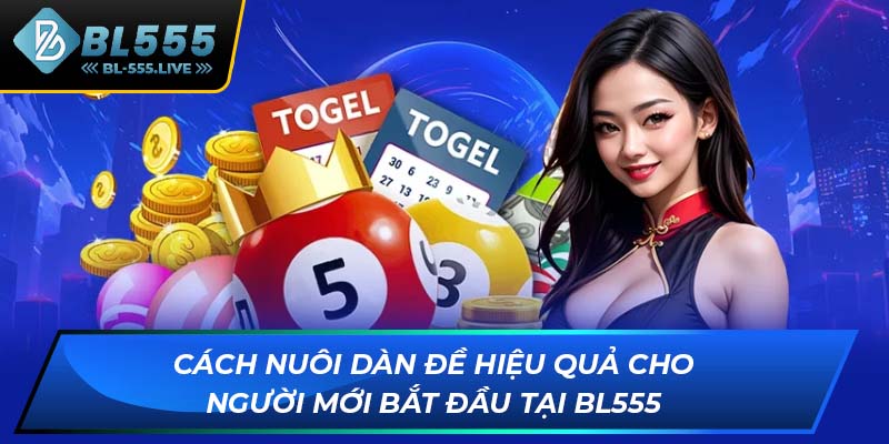 XỔ SỐ - BL555 - Golddash99