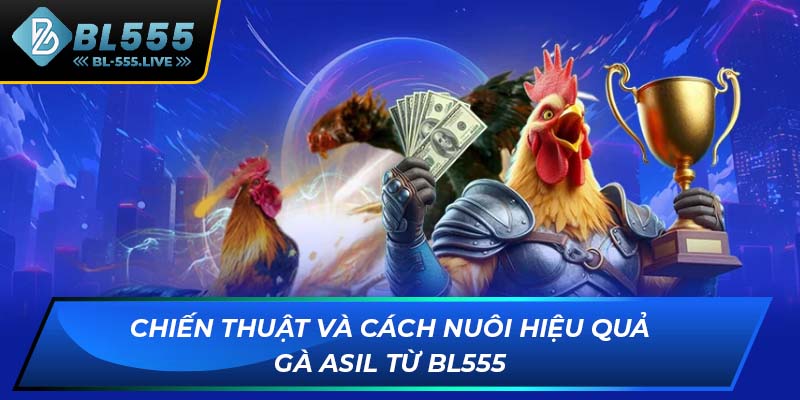 ĐÁ GÀ - BL555 - Golddash99